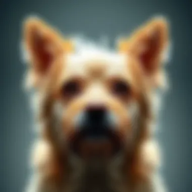 Magnificent The Efficacy of Dog Drying Brushes: A Comprehensive Guide Magnificent The Efficacy of Dog Drying Brushes: A Comprehensive Guide