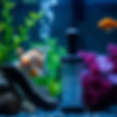 Aquarium Environment Maintained by Filter Pump An aquarium with a filter pump in operation