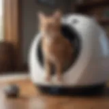 Illustration of a Cat with Litter Robot