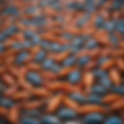 Colorful Array of Frozen Fish Food