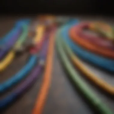 Variety of colorful long leashes for pets on display