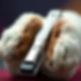 Precision in Dog Grooming Close-up of a paw pad clipper in action