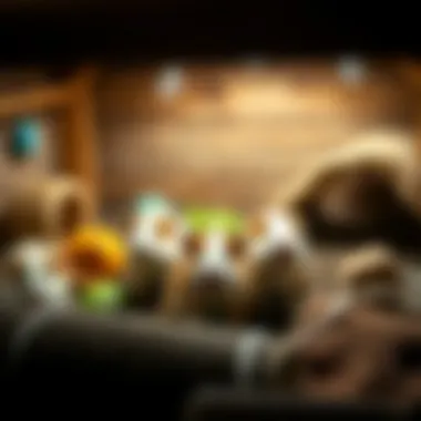 Well-designed guinea pig enclosure with enrichment features