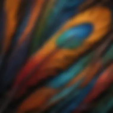 Close-up of an Indian Ringneck's vibrant feathers