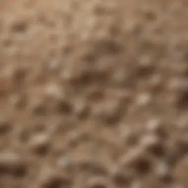 Close-up of silica cat litter granules showcasing their texture