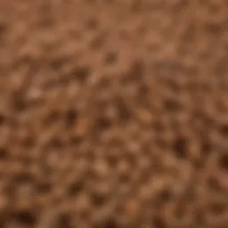 A close-up view of high-quality dog food showcasing its rich ingredients.