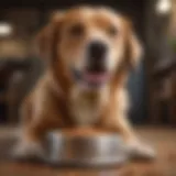 A content dog enjoying Simple Life Dog Food