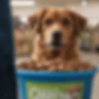 Imagery showcasing the convenience of buying Dog Chow at Walmart