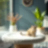 Elegant cat scratching post integrated with modern interior design