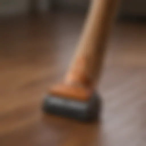 Dog Hair Removal Tool on Hardwood Floor