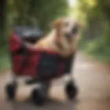 Large dog lounging comfortably in a stylish stroller