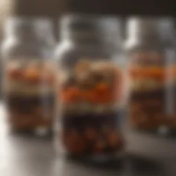 Eco-Friendly Food Storage Container
