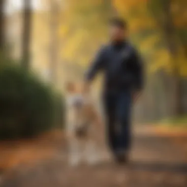 Shiba Inu owner practicing leash training with their dog