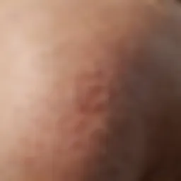A close-up of a pet's skin showing a rash