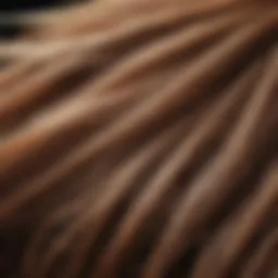 A close-up of dog hair on fabric, showcasing the challenge faced by pet owners.