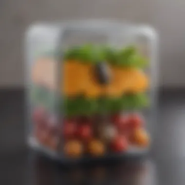 Innovative Transparent Design Transparent Food Storage Container