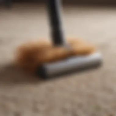 Pet hair being effortlessly removed by a portable cleaner