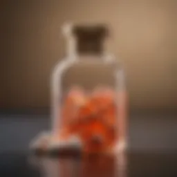 Elegant pet care pill bottle