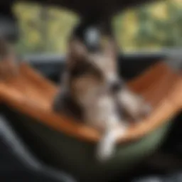 Elegantly Designed Hammock Back Seat Cover for Pets