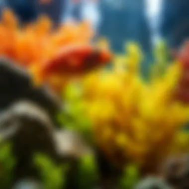 Energy Efficiency of Aquarium Heaters Visual guide on energy efficiency for aquarium heaters