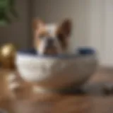 Elegant ceramic dog bowl with intricate design