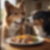 Slow-eating dog enjoying meal