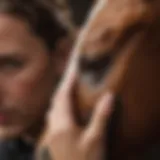 Equine Dermatologist Examining Horse Warts Equine Dermatologist Examining Horse Warts