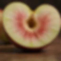 Fresh Apple Slices for Sugar Gliders