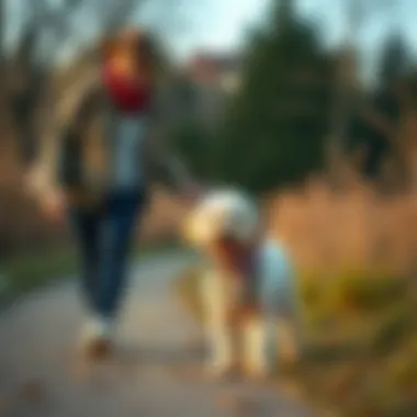 Owner bonding with an AKC Toy Poodle during a walk