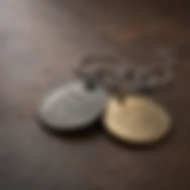 Stylish customized dog tag with unique design