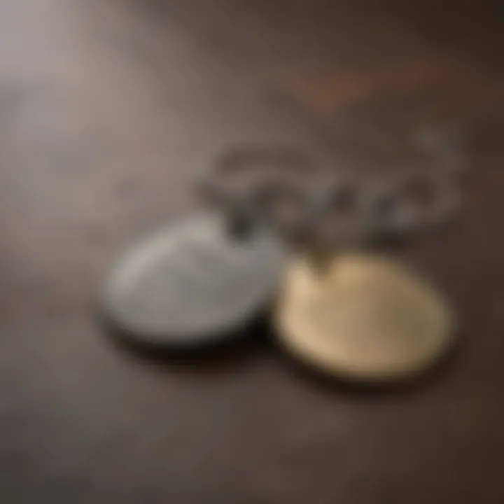 Stylish customized dog tag with unique design