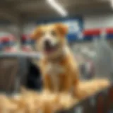 Variety of temporary dog fences on display