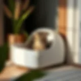 Stylish enclosed cat litter box in modern home decor