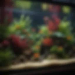 A beautifully aquascaped 36-inch aquarium showcasing vibrant aquatic plants and colorful fish