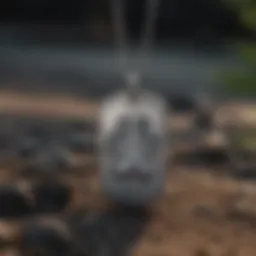Elegant memorial dog tag necklace with paw imprint