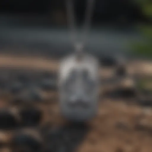Elegant memorial dog tag necklace with paw imprint
