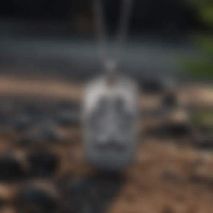 Elegant memorial dog tag necklace with paw imprint