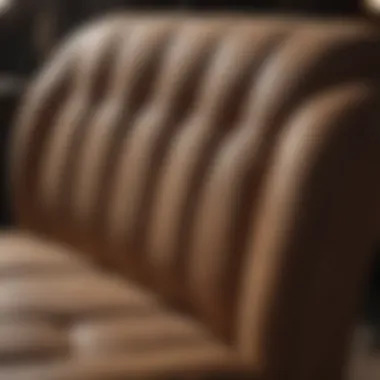 Fresh and Clean Upholstery after Enzyme Treatment
