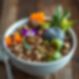 A vibrant bowl filled with various grain-free dog food options showcasing diverse ingredients