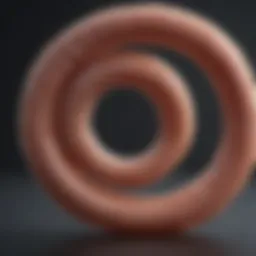 Illustration showing the life cycle of roundworms in dogs