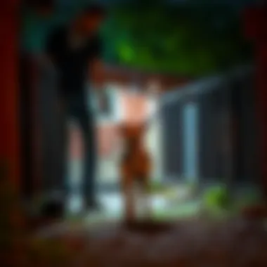 Owner guiding dog into kennel at night