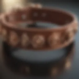 Luxurious Leather Breakaway Dog Collar with Rose Gold Accents