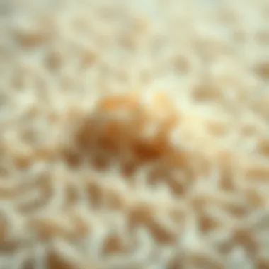 Carpet Fiber Interaction with Odor Neutralizers Close-up of carpet fibers absorbing a carpet powder designed for pet odors