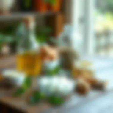 Natural Remedies for Skin Allergies Natural remedies for pet skin allergies on a wooden table