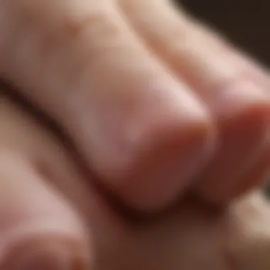 A close-up of a pet's paw being gently held for nail cutting.