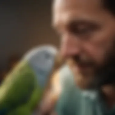 Parakeet receiving a feather check-up from a vet