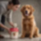 Pet Owner Applying Royal Canin Medium Sensitive Skin Product