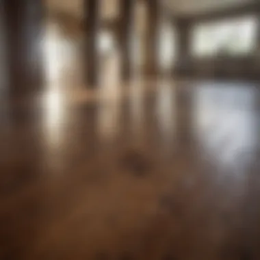 Commercial cleaner for wood floors