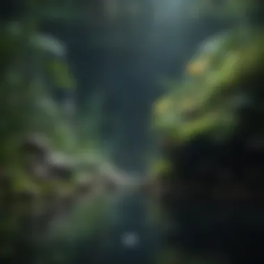 Creating an Aesthetic Aquascape Aquascape Design