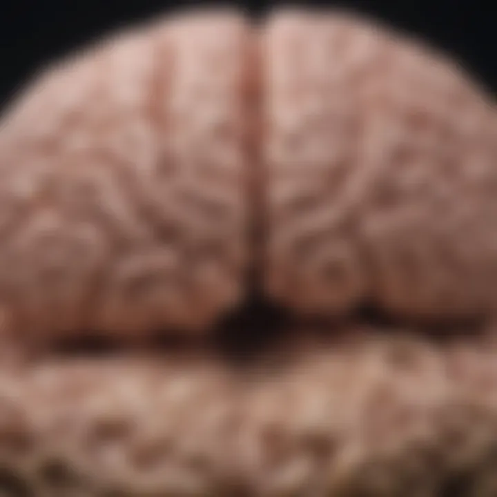 Illustration of a brain with sleep waves indicating deep restorative sleep